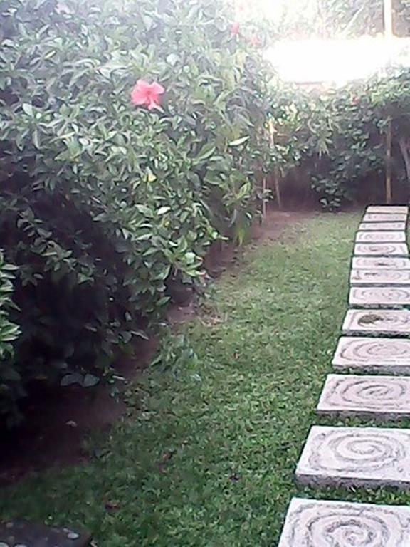 Bali Sari Homestay Amed Eksteriør bilde