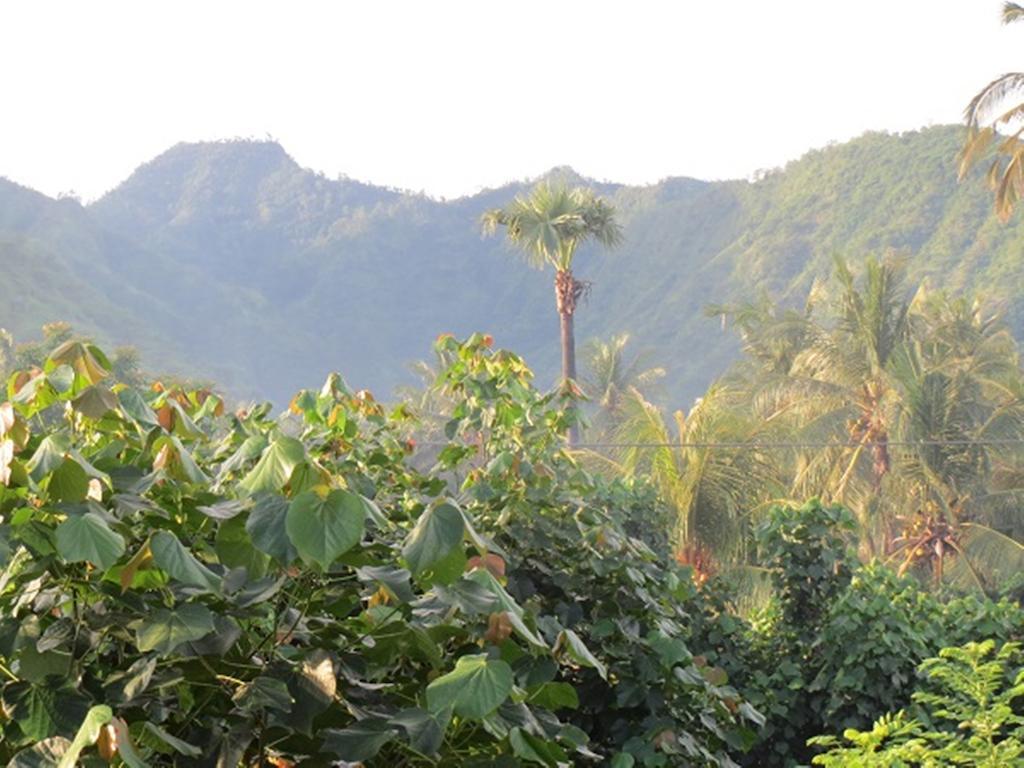 Bali Sari Homestay Amed Eksteriør bilde